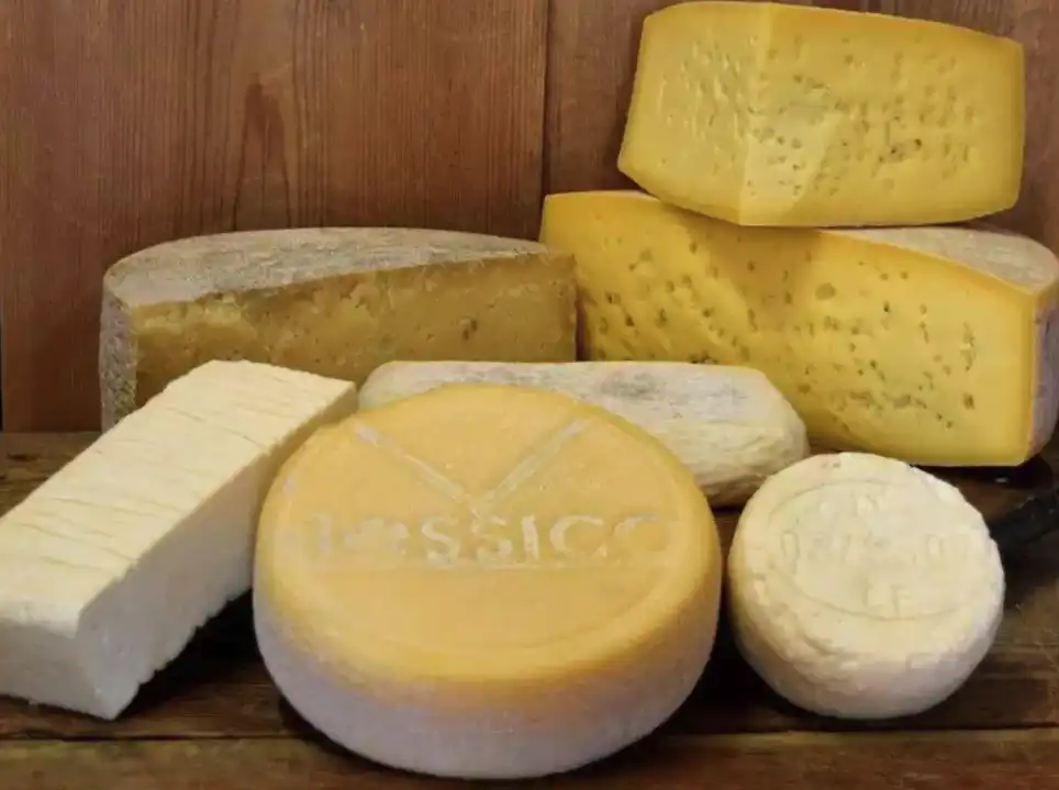 cheese festival in bossico